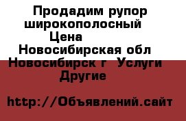 Продадим рупор широкополосный  › Цена ­ 5 000 - Новосибирская обл., Новосибирск г. Услуги » Другие   